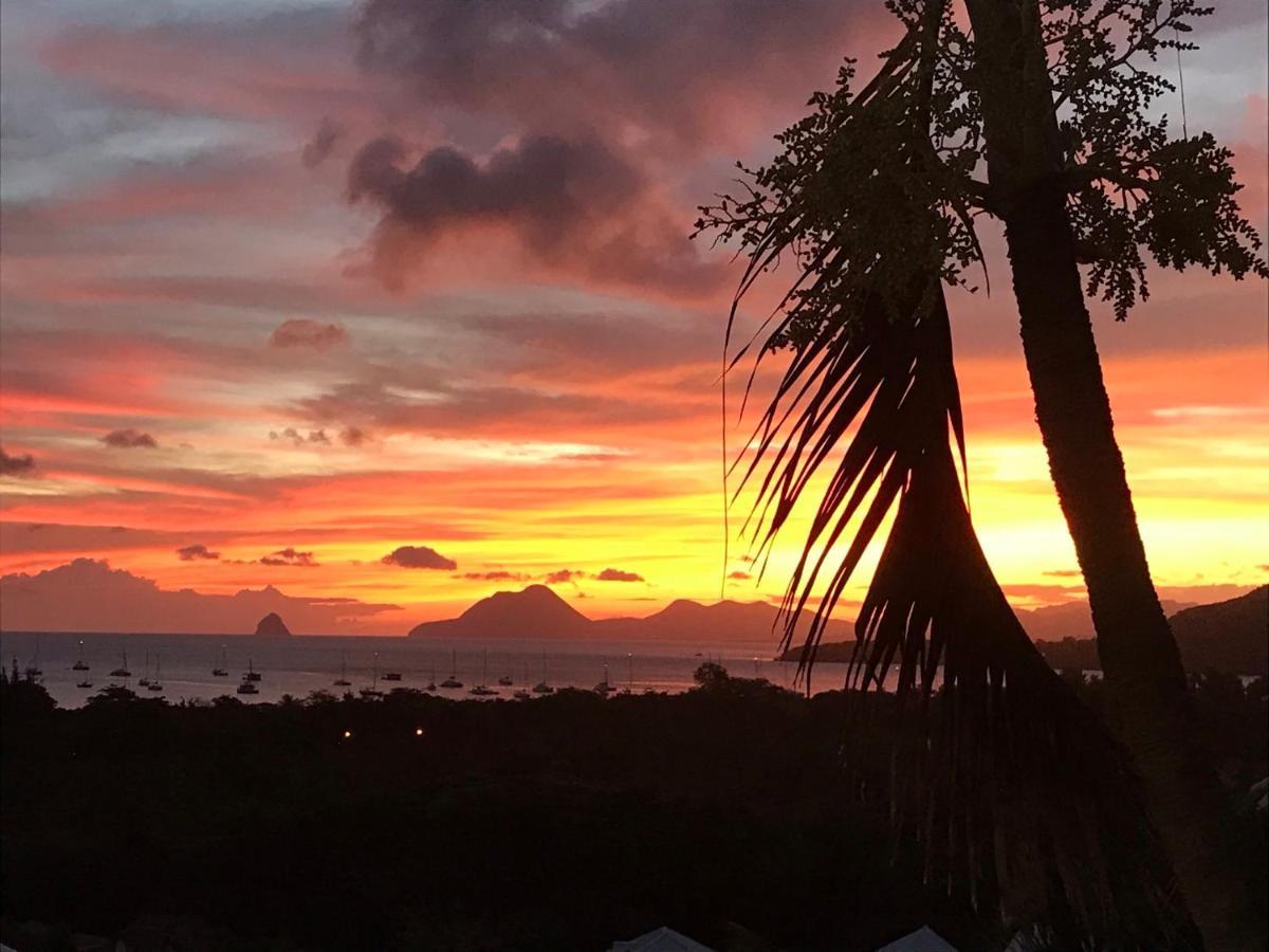 Belfond-Tropical Lägenhet Sainte-Anne Exteriör bild