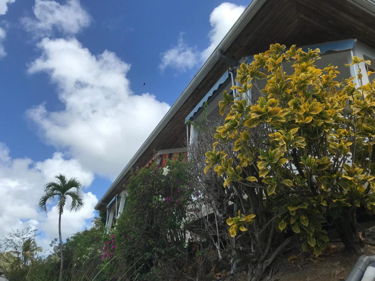 Belfond-Tropical Lägenhet Sainte-Anne Exteriör bild
