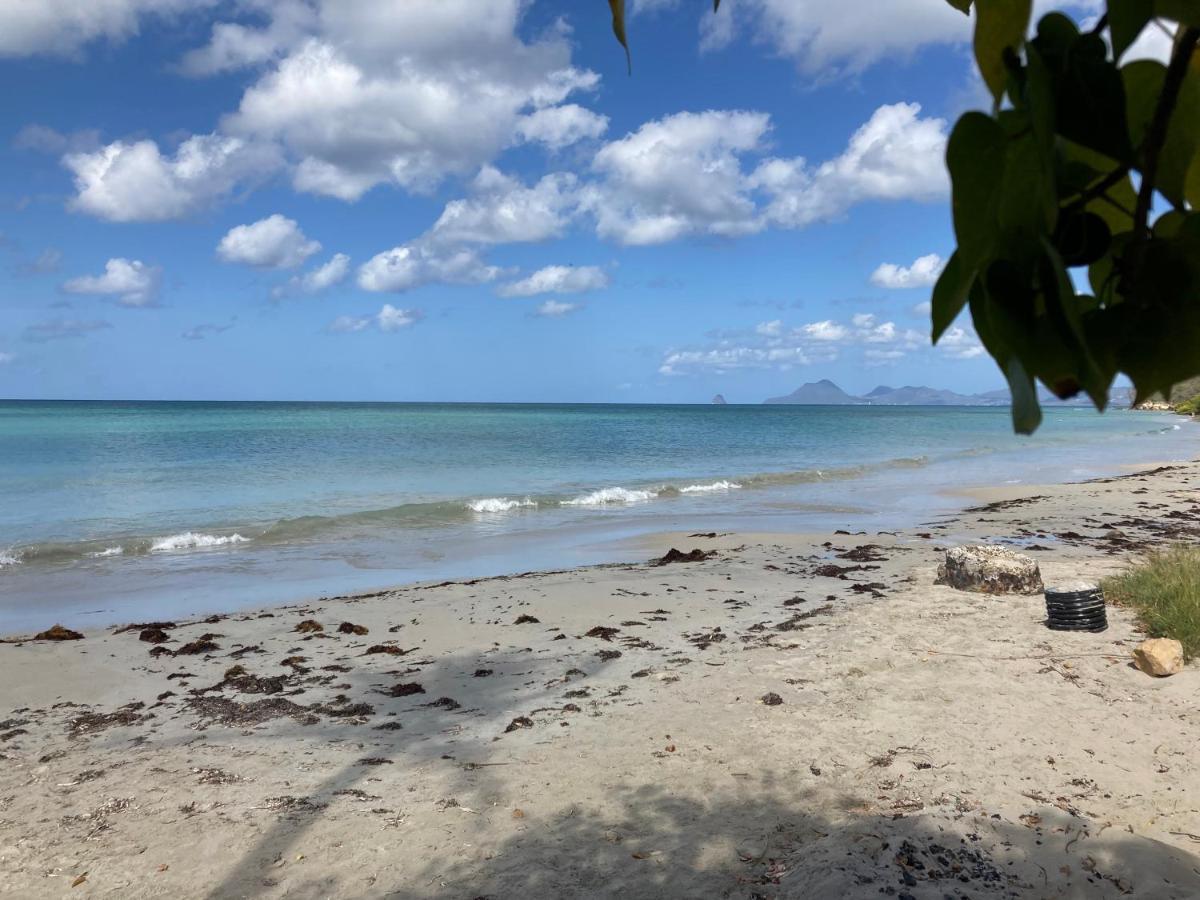 Belfond-Tropical Lägenhet Sainte-Anne Exteriör bild